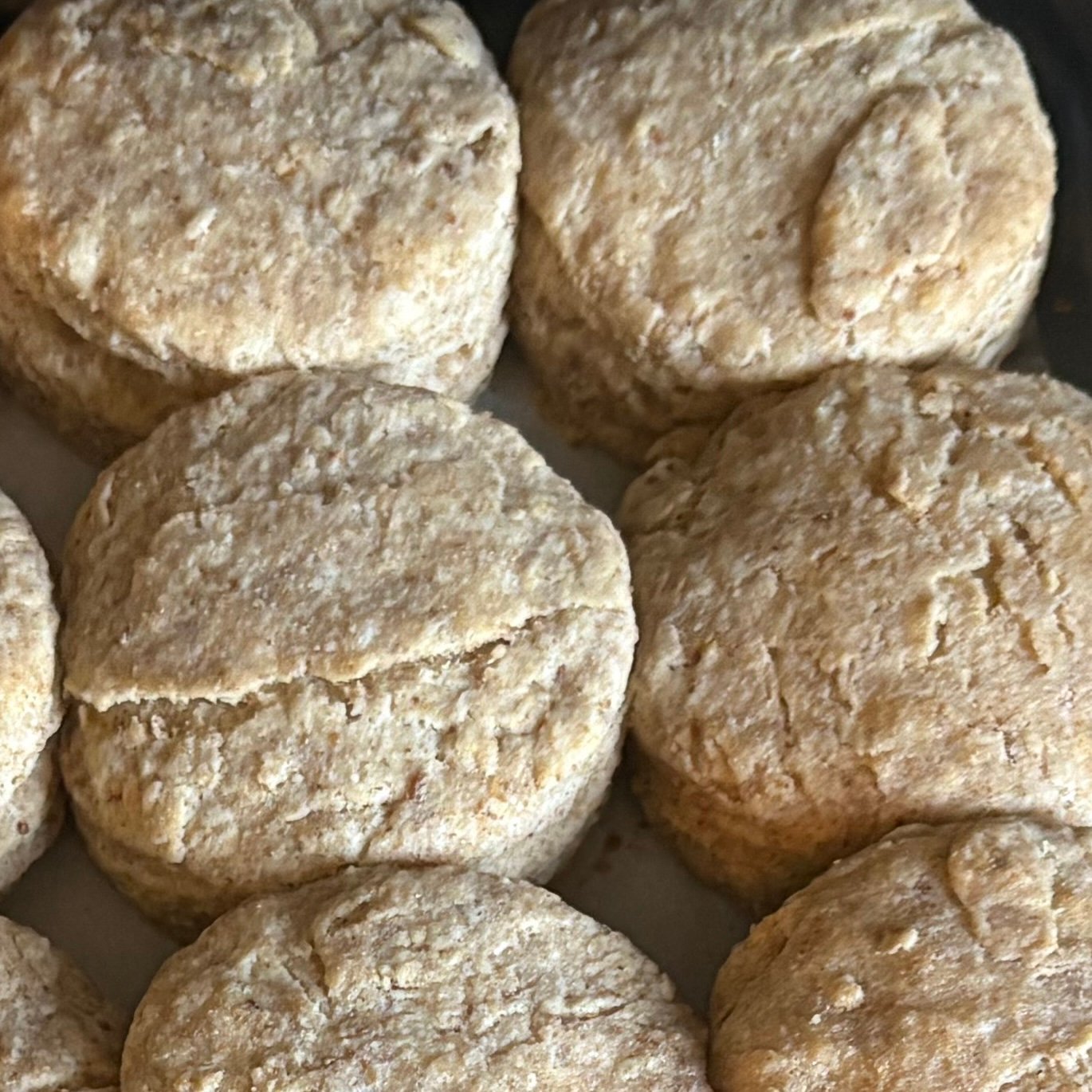 spent grain biscuits